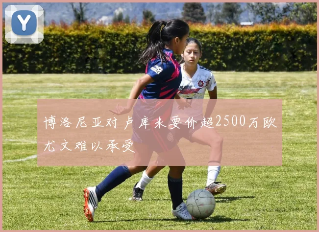 博洛尼亚对卢库米要价超2500万欧尤文难以承受
